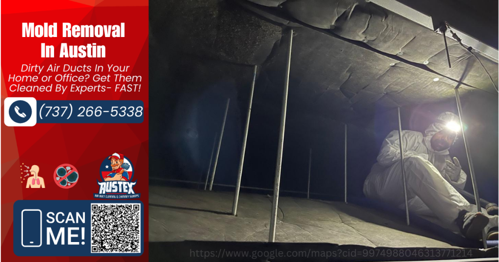 effective mold removal the essential guide to austin air duct cleaning austex air duct cleaning (1)