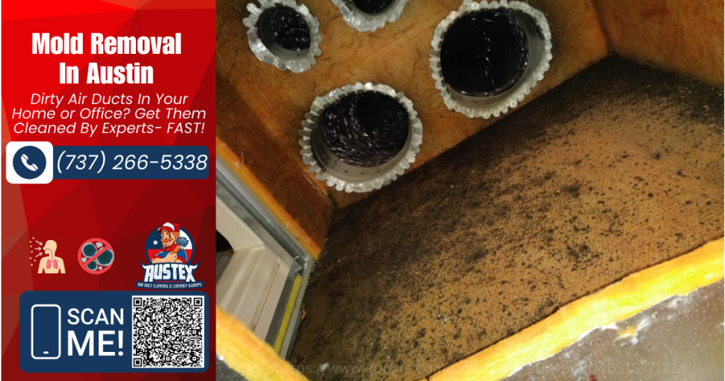effective mold removal the essential guide to austin air duct cleaning austex air duct cleaning